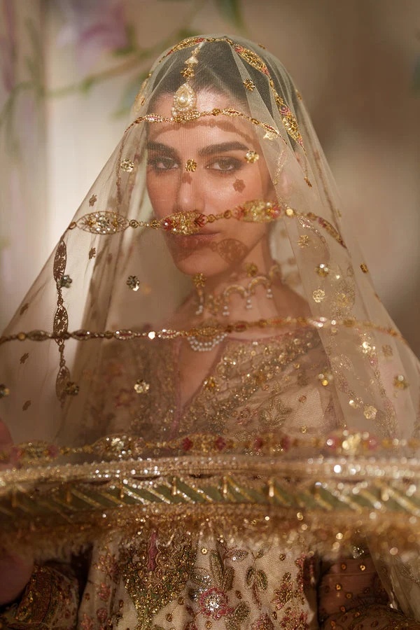 EMBROIDERED NET BAROUQE pakistani fashion outfit with coordinated…